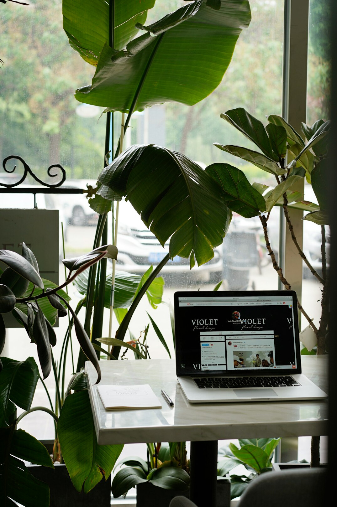 Laptop screen displaying an open email newsletter